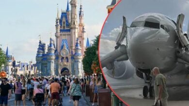 A split image showing a crowded theme park with a castle in the background on the left, and people boarding an airplane on the right.