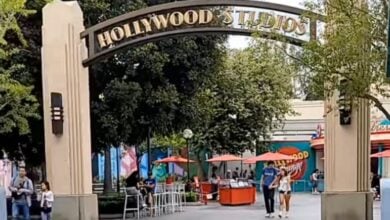 An empty area at Disneyland Resort's Disney California Adventure Park, screenshot is from a video discussing theme park crowds amid ICE raids.