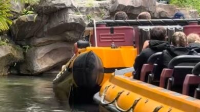 Two Jurassic Park River Adventure boats collide at Universal Orlando Resort.
