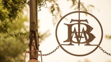 A metal sign featuring the overlapping letters "T," "M," and "B" hangs from a post by chains, with blurred trees and greenery in the background.
