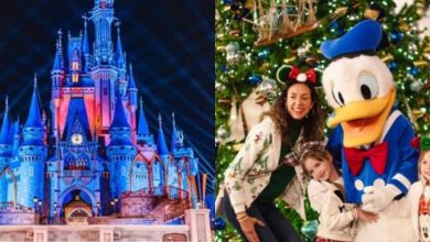 A split image: on the left, a brightly lit Disney castle at night in the fifth park; on the right, a woman and two children in festive outfits pose and smile with a person in a Donald Duck costume by a decorated Christmas tree.