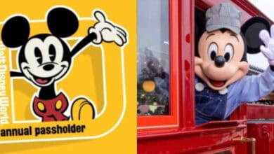 Split image: On the left, a graphic of Mickey Mouse waving with "Walt Disney World annual passholder." On the right, a person in a Mickey Mouse costume waves from the window of a red train.