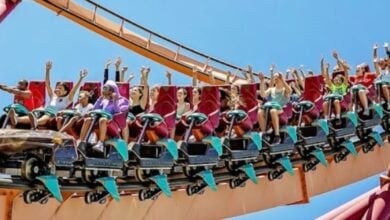 Riders on Raging Bull.