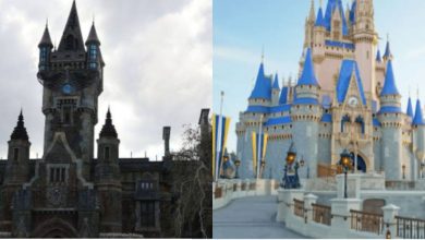 Split image showing two castles: the left side displays a dark, gothic-style castle under a cloudy sky; the right side features a bright, fairytale-like castle with blue rooftops and golden accents on a clear day.
