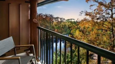 A balcony at a wilderness lodge features a wooden chair overlooking a lush, tree-filled landscape and a pond reflecting the sky. Sunlight filters through green and autumn-colored trees under a clear blue sky.