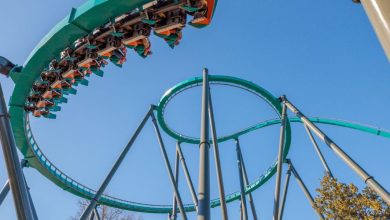A green Goliath Six Flags roller coaster twists riders upside down on a loop against a clear blue sky, supported by tall gray pillars, with trees visible at the bottom right.