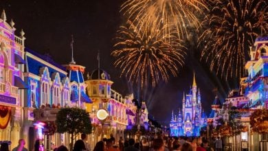Disney Enchantment Fireworks at the Magic Kingdom
