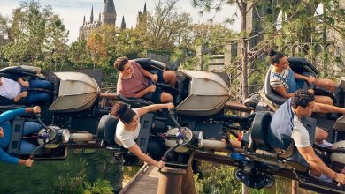 Hagrid's Magical Creature Motorbike Adventure