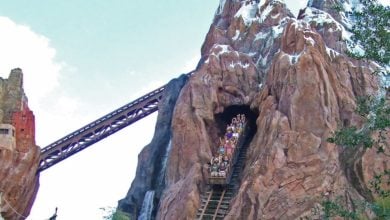 Expedition Everest at Disney's Animal Kingdom Theme Park.