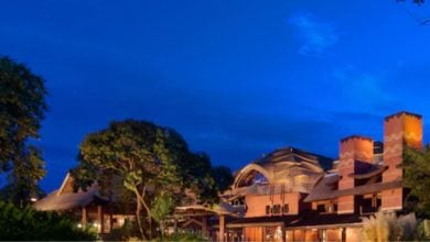 Exterior of Disney's Animal Kingdom Lodge