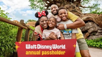 A smiling family of four poses in front of the Tree of Life at Walt Disney World. The mother wears Minnie Mouse ears. Text on the image reads "Walt Disney World annual passholder.