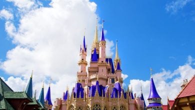 A bright blue sky with fluffy white clouds above a fairytale castle featuring pink walls and tall, pointed blue and gold spires, surrounded by rooftops.
