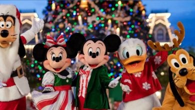 Goofy, Minnie, Mickey, Donald, and Pluto at Disney World