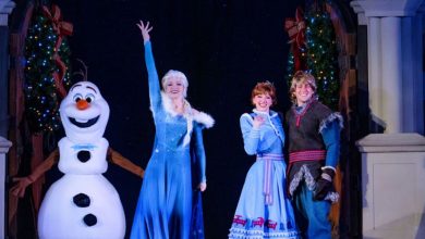 Three performers dressed as Olaf, Elsa, and Anna from "Frozen" and another as Kristoff stand on stage, smiling and waving amid christmas decorations and sparkling Christmas trees in the background.