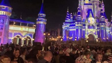 Crowds waiting for the Happily Ever After fireworks at Magic Kingdom Park