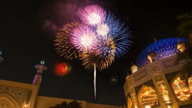 Fireworks above Tokyo DisneySea