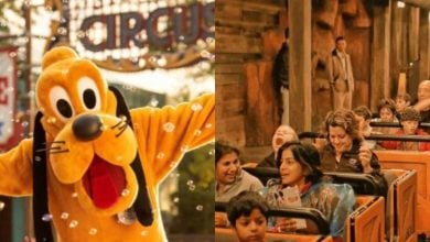 A person in a Pluto costume poses happily at a circus-themed area with bubbles, while on the right, people ride a roller coaster in an indoor amusement park setting.