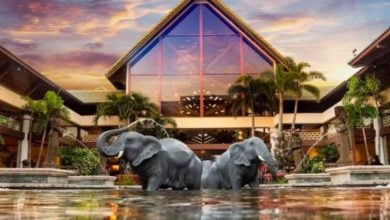 A grand resort building with a glass triangular entrance is flanked by palm trees, while two large elephant statues stand in a reflective pool in the courtyard, set against a colorful sunset sky.