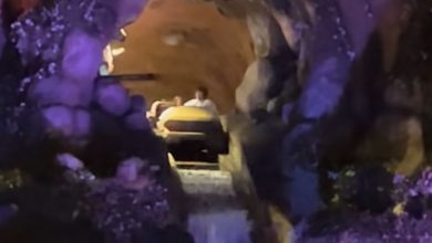 People stuck at the top of Tiana's Bayou Adventure at night.