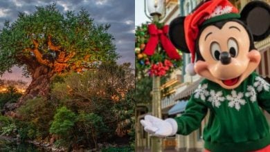 A large artificial tree with lush greenery stands under a cloudy sky on the left, while on the right, Mickey Mouse in a festive sweater and Santa hat poses on a decorated street with holiday garlands and ornaments.