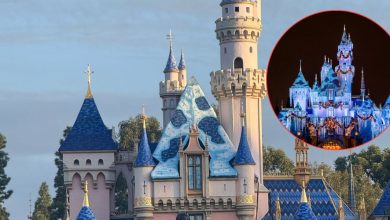 A photo of Disneyland’s Sleeping Beauty Castle during the day with blue rooftops and pink walls. Inset, a circular image shows the same castle at night lit up with colorful lights. Trees and sky are visible in the background.