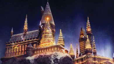 Universal's Magic of Christmas show at Hogwarts Castle