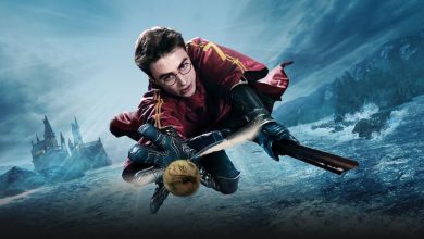 Harry Potter on a broom catching the Snitch in front of Hogwarts