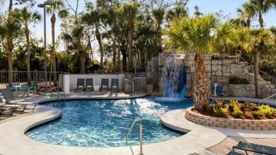 A tropical outdoor swimming pool with clear blue water, surrounded by lounge chairs, palm trees, and landscaping. A rock waterfall feature flows into the pool, and the sky is clear and sunny.