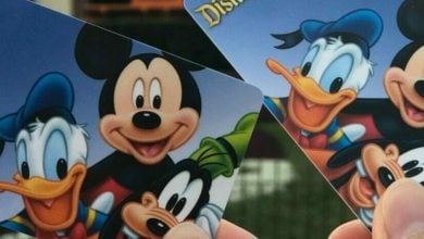 A hand holding two Disneyland tickets.