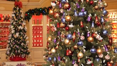 Twinkling Christmas trees in the Germany World Showcase Pavilion at EPCOT.