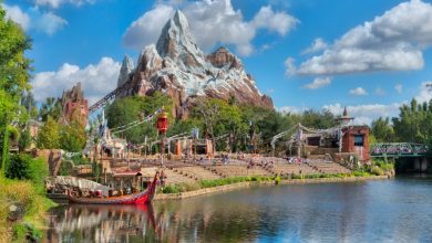 distant picture of mountain for Disney's Expedition Everest coaster in Animal Kingdom