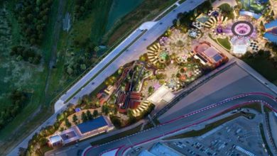 A vibrant amusement park aglow at night, with dazzling coasters and rides beside a racetrack, seen from above.
