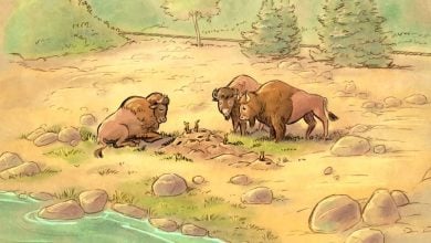 Three mighty bison gather by a lively prairie dog colony near a scenic stream, in Yellowstone’s wild, adventure-filled landscape.