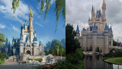 Split image: left features an iconic Disney castle illustration, right reveals the real-life castle at a Disney park under cloudy skies.