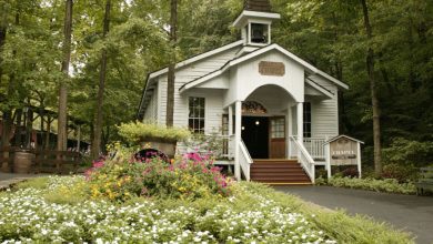 A charming white chapel nestled in lush gardens at Dollywood, surrounded by vibrant blooms and tall trees under sunny skies.
