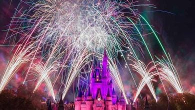 The New Year's Eve Fireworks in Magic Kingdom at Walt Disney World Resort