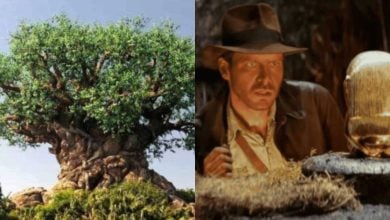a spit image with disney world's tree of life in animal kingdom on the left and harrison ford as indiana jones on the right