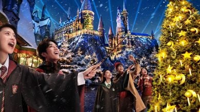 Guests in the Wizarding World of Harry Potter at Christmas