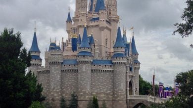 Cinderella Castle at Magic Kingdom Park from the side.