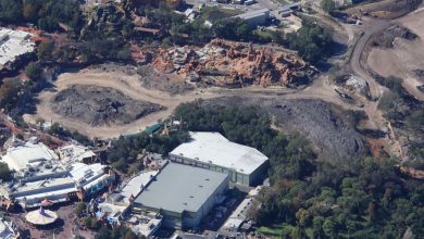 Aerial view of Big Thunder Mountain and the nearby Frontierland construction at Magic Kingdom Park