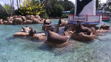 SeaWorld Orlando lighthouse.
