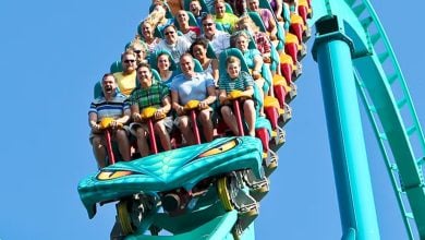 Thrill-seekers soar down Serpent Strike’s turquoise track, grinning and gripping tight on the snake-head coaster at Adventure Land.