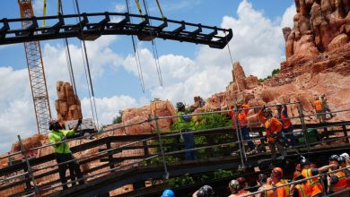Crew members work on steel supports for a thrilling new coaster rising against Oasis-themed rocks before Disney’s grand attraction launch.