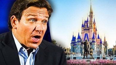 Ron DeSantis speaking passionately, posed next to a picture of Cinderella Castle at Walt Disney World Resort.
