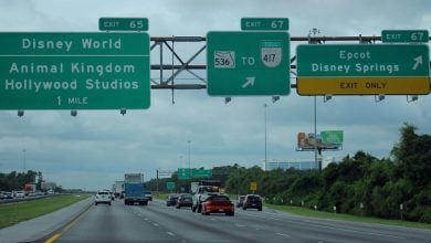 Directional signs point the way to Disney Springs, Disney's Animal Kingdom Theme Park, and Disney's Hollywood Studios.