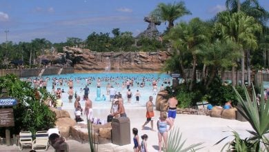 Guests splash in the wave pool at Disney's Typhoon Lagoon.