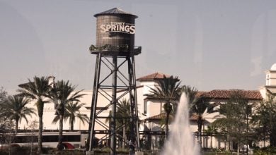 The iconic Disney Springs water tower
