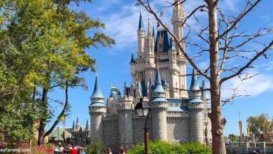 A side view of Cinderella Castle at Magic Kingdom Park