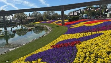 Stunning flower beds line the pond beneath EPCOT’s iconic monorail at the lively Flower & Garden Festival under clear blue skies.