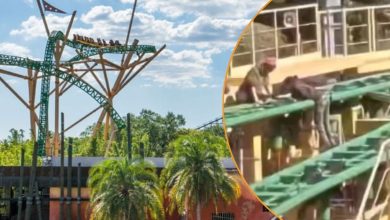 Left: Cheetah Hunt at Busch Gardens Tampa Bay. Right: A screenshot from a video allegedly showing employees climbing on the roller coaster tracks.